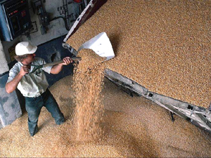 Качество ремонта кровли – на депутатский контроль