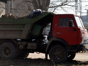С территории детсада вывезено четыре КамАЗа листвы