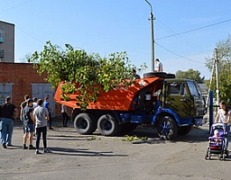 Аллею у школы №66 очистили от зарослей и мусора