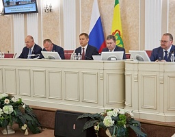 Заседание фракции "Единая Россия" в Законодательном Собрании Пензенской области