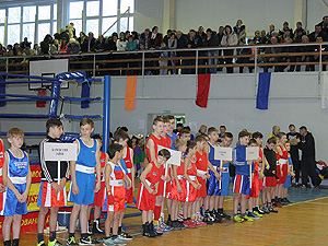 В Белинском прошел боксерский турнир памяти Лермонтова