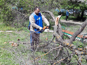 Во дворе дома по улице Чаадаева,91 установлена сушилка и спилены аварийные деревья