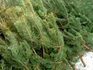 Назначение Белозерцева — высокая оценка его многолетней плодотворной работы