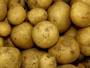 На ряд продуктов в Пензенской области зафиксированы самые низкие в ПФО