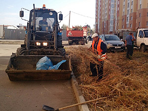 В Пензе организовали санитарный день