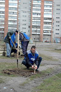 Цветущая зеленая весна придет в Пензу