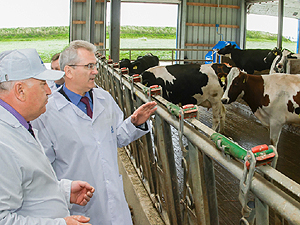 В Пензенской области идет активное внедрение электронной системы идентификации сельскохозяйственных животных